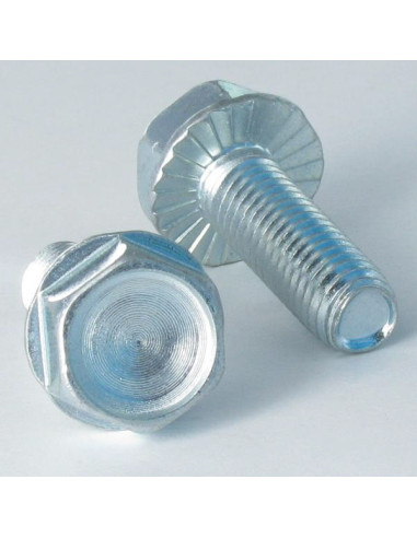 1 x Tornillo autorroscante cabeza hexagonal...