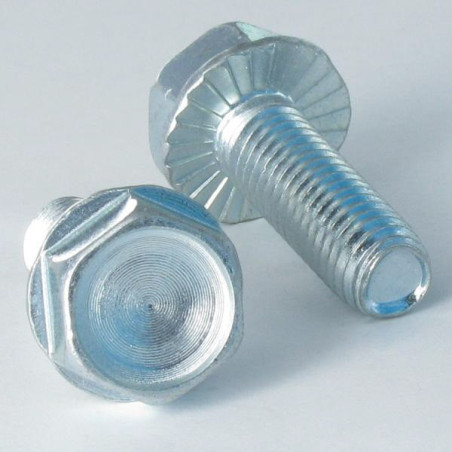 1 x Tornillo autorroscante cabeza hexagonal resalto reborde dentado M10X40 Acero cincado blanco