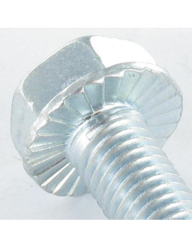 1 x Tornillo autorroscante cabeza hexagonal...