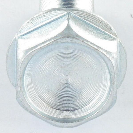 1 x Tornillo autorroscante cabeza hexagonal resalto reborde dentado M10X40 Acero cincado blanco