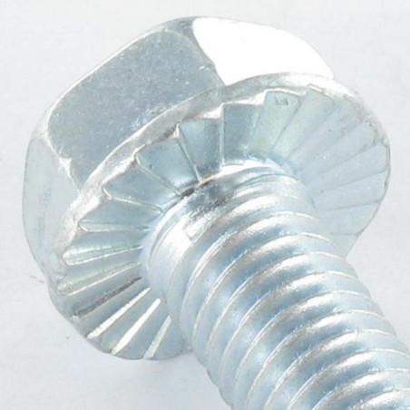 1 x Tornillo autorroscante cabeza hexagonal resalto reborde dentado M10X30 Acero cincado blanco