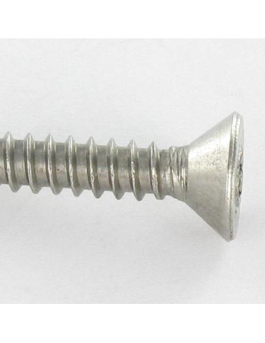 1 x Tornillo chapa Seguridad Inoxidable A2...