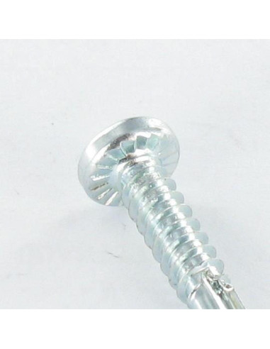 1 x Tornillo autoperforante cabeza cilíndrica...