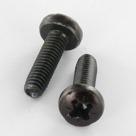 1 x Tornillo autorroscante cabeza abovedada ancha M6X20 Pozi PZ5 Acero cincado negro