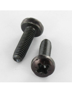 Tornillo autorroscante cabeza abovedada ancha M5X10 Pozi...