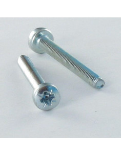 Tornillo autorroscante cabeza abovedada ancha M3X30 Pozi...