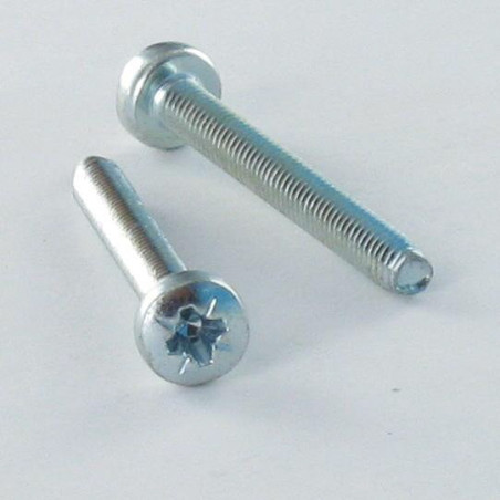 1 x Tornillo autorroscante cabeza abovedada ancha M3X25 Pozi PZ3 Acero cincado blanco microtornillo