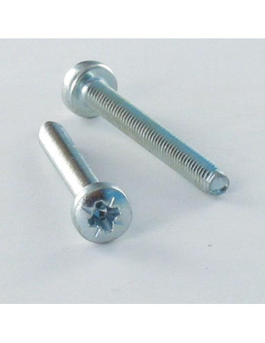 1 x Tornillo autorroscante cabeza abovedada...
