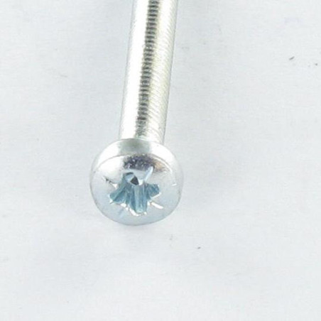 1 x Tornillo autorroscante cabeza abovedada ancha M2X6 PZ0 Acero cincado blanco microtornillo