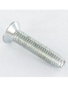 Tornillo autorroscante cabeza fresada/testa svasat M8X50... 2