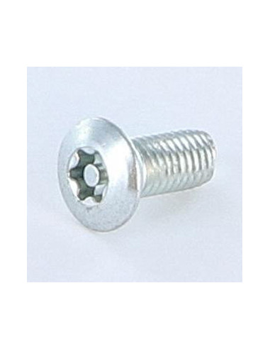 1 x Tornillo autorroscante Seguridad 5X12...