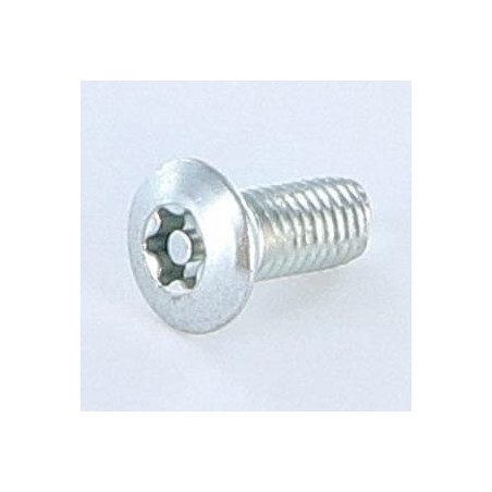 1 x Tornillo autorroscante Seguridad 5X12 cabeza fresada abombada T25+TETON Acero cincado blanco