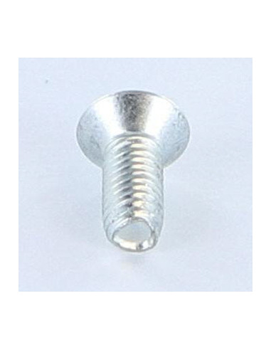 1 x Tornillo autorroscante Seguridad 5X12...