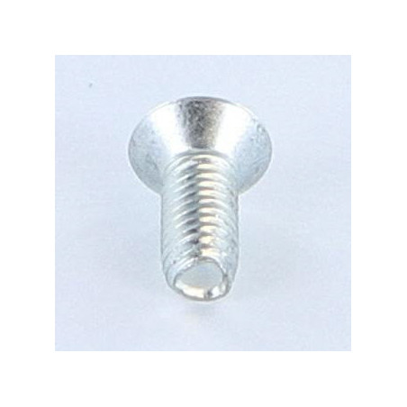1 x Tornillo autorroscante Seguridad 5X12 cabeza fresada abombada T25+TETON Acero cincado blanco