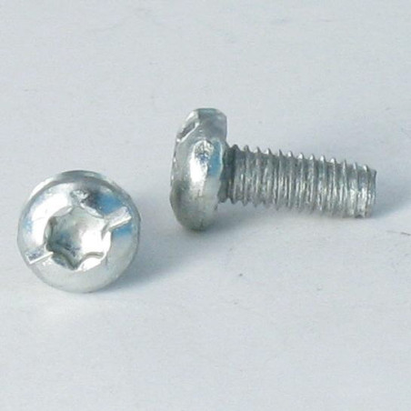 1 x Tornillo autorroscante cabeza cilíndrica TORX roscado en ranura 4X10 dentado Acero cincado blanco