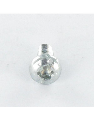 1 x Tornillo autorroscante cabeza cilíndrica...