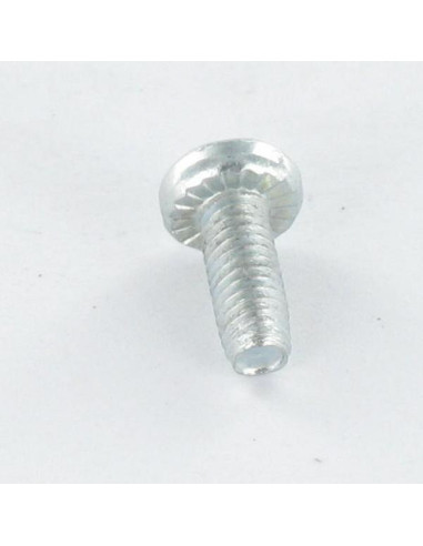 1 x Tornillo autorroscante cabeza cilíndrica...