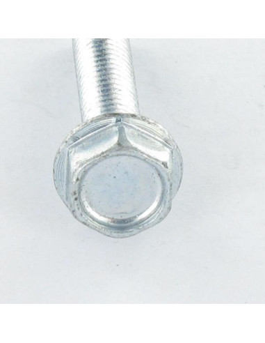 1 x Tornillo autorroscante cabeza hexagonal...