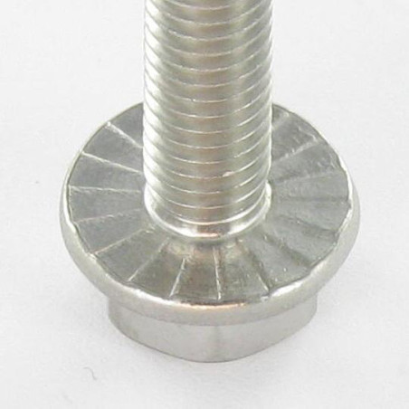 1 x Tornillo metales cabeza hexagonal resalto reborde dentado M5X30 Inoxidable A2