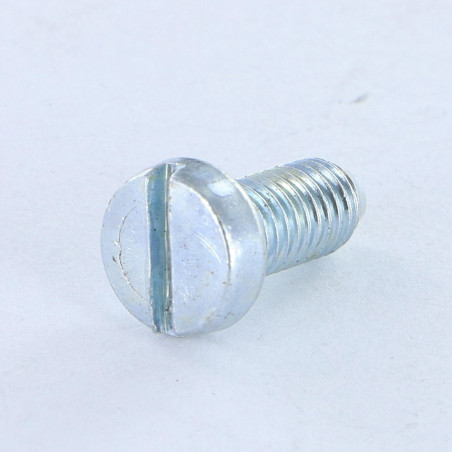 1 x Tornillo metales cabeza cilíndrica ancha ranura M5X12 BP Acero cincado blanco