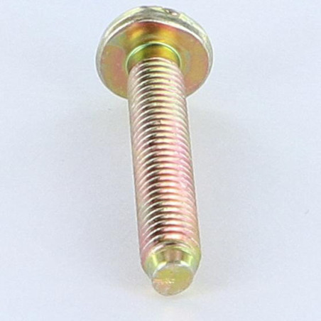 1 x Tornillo metales cabeza cilíndrica ancha ranura M6X35 BP Bicromato