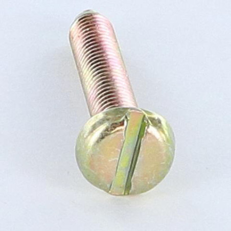 1 x Tornillo metales cabeza cilíndrica ancha ranura M6X35 BP Bicromato