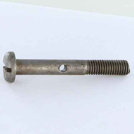 1 x Tornillo metales cabeza cilíndrica ancha ranura M8X60 perforada 3.8 Acero bruto