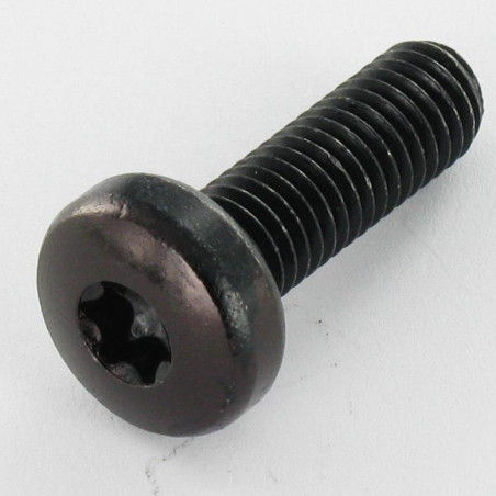 1 x Tornillo metales cabeza abovedada ancha M3X5 TORX T10 Acero cincado negro microtornillo