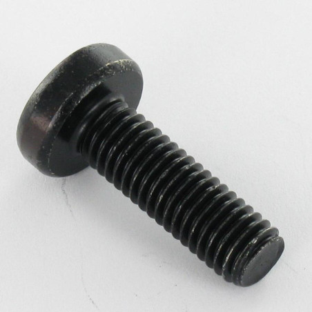 1 x Tornillo metales cabeza abovedada ancha M3X5 TORX T10 Acero cincado negro microtornillo