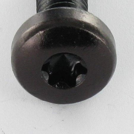 1 x Tornillo metales cabeza abovedada ancha TORX T25 M5X30 Acero cincado negro