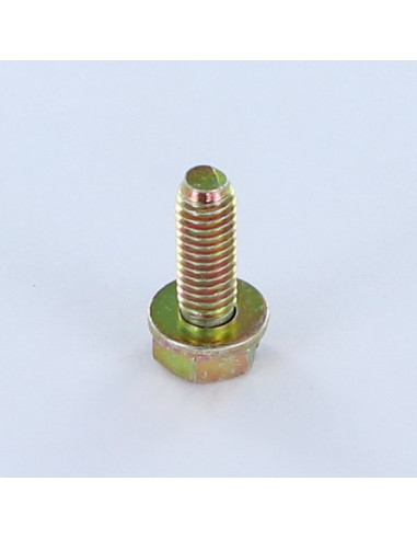 1 x Tornillo metales cabeza hexagonal ranura...