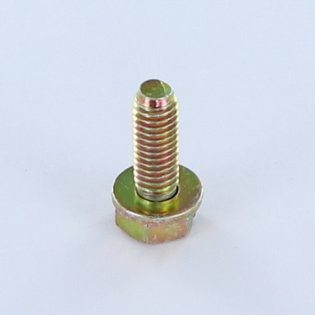 1 x Tornillo metales cabeza hexagonal ranura M6X18 con Arandela Bicromato