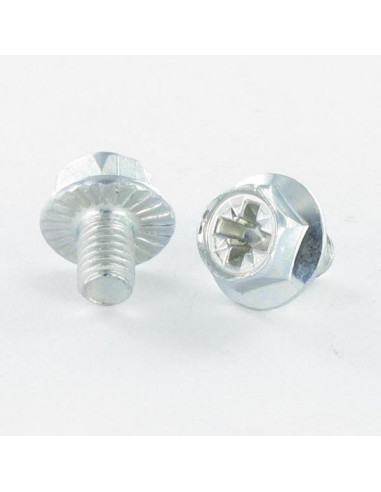 1 x Tornillo metales cabeza hexagonal Pozi M6X8...
