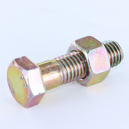1 x Perno (vendido con tuerca) cabeza hexagonal M12X25 Bicromato