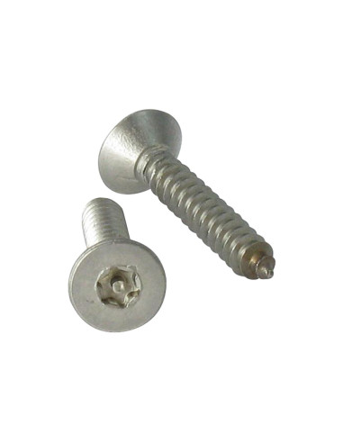 1 x Tornillo chapa Seguridad Inoxidable A2...