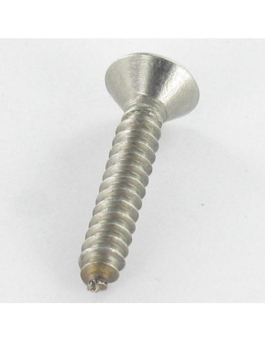 1 x Tornillo chapa Seguridad Inoxidable A2...