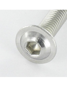 Tornillo metales Cabeza Abombada con Hueco hexagonal... 2