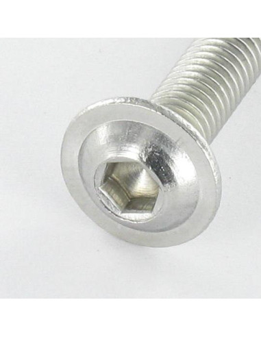 1 x Tornillo metales Cabeza Abombada con Hueco...
