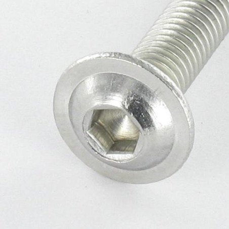 1 x Tornillo metales Cabeza Abombada con Hueco hexagonal resalto reborde M8X20 llave de 5 Inoxidable A2