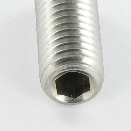 1 x Tornillo metales Inoxidable A2 sin cabeza seis lados hueco llave de 6 M12X16 punta plana