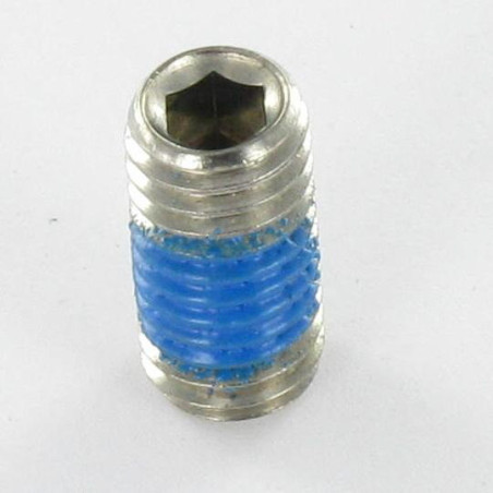 1 x Tornillo metales Inoxidable A2 sin cabeza seis lados hueco llave de 3 M6X8 punta plana + Freno rosca