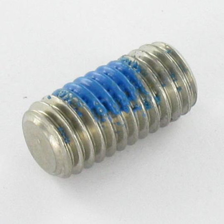 1 x Tornillo metales Inoxidable A2 sin cabeza seis lados hueco llave de 3 M6X8 punta plana + Freno rosca