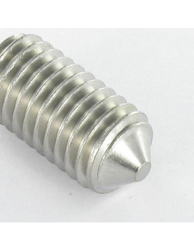 1 x Tornillo metales Inoxidable A2 sin cabeza...