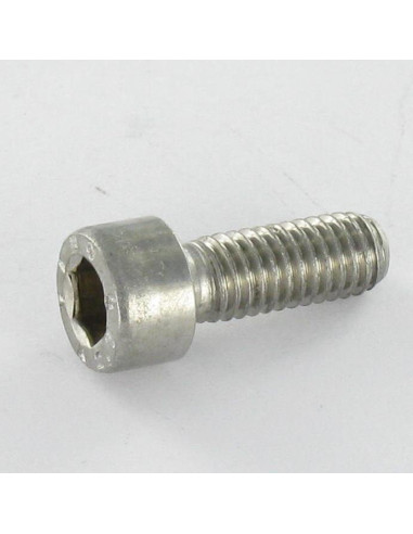 1 x Tornillo metales Inoxidable A2 CHC BTR...