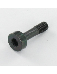 Tornillo metales Inoxidable A2 PASIVO Negro llave de 4...