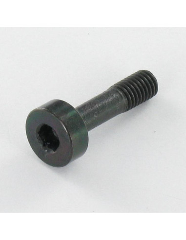 1 x Tornillo metales Inoxidable A2 PASIVO Negro...