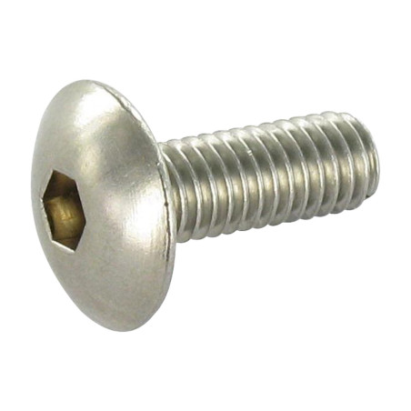 1 x Tornillo metales poelier cabeza redonda ancha llave de 4 M6X20 Inox