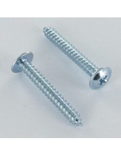 Tornillo chapa poelier cabeza redonda ancha Pozi 4.2X25...