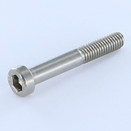 1 x Tornillo metales CHC BTR BAJO/AGUJERO llave de 5 Inoxidable A2 M8X55 roscado en 22