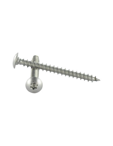 1 x Tornillo pernio 6X50 roscado en 38 TORX T30...